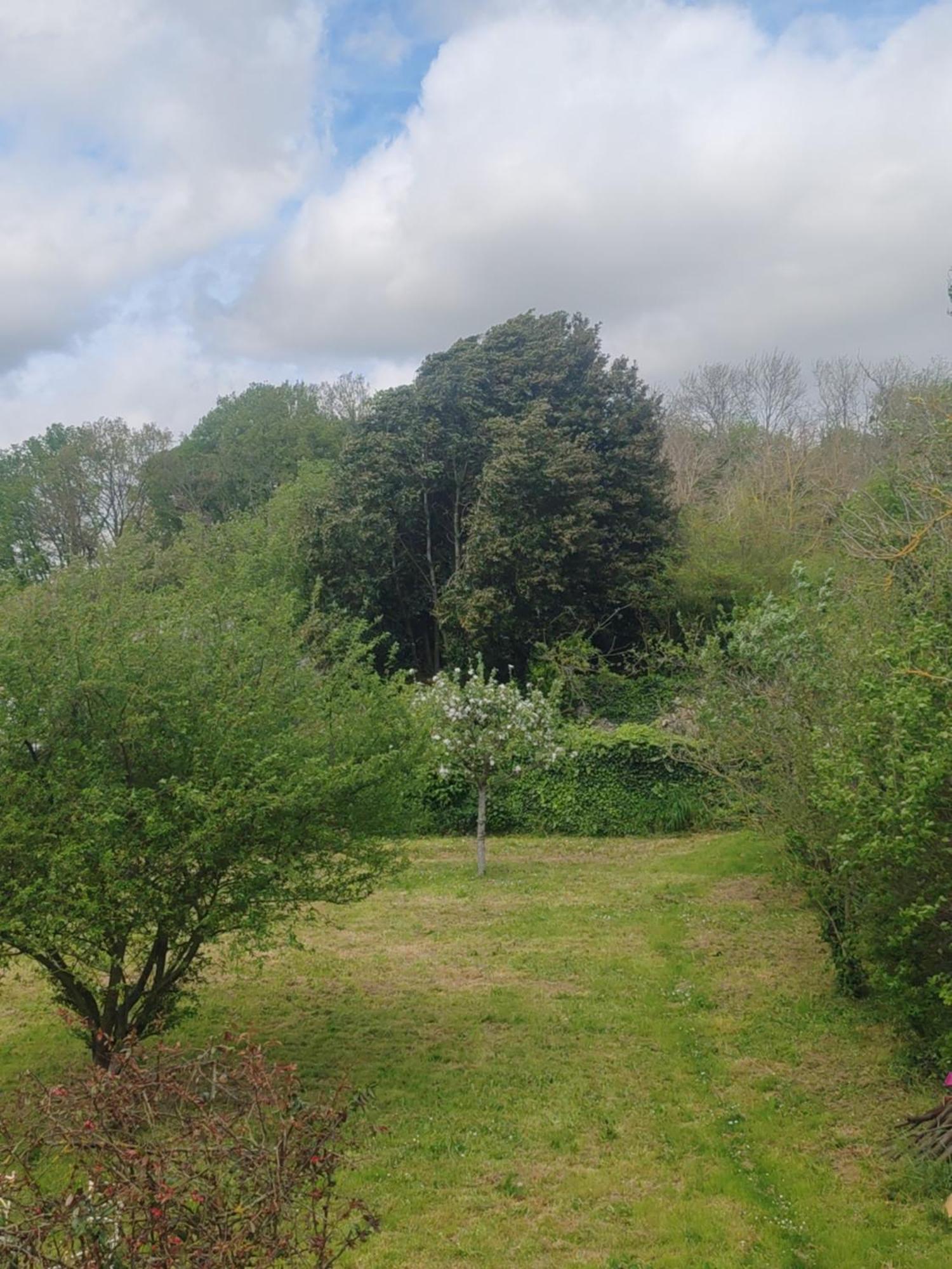 Chez Peggy Bed & Breakfast La Ferte-sous-Jouarre Luaran gambar